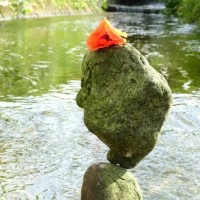 w&auml;chter