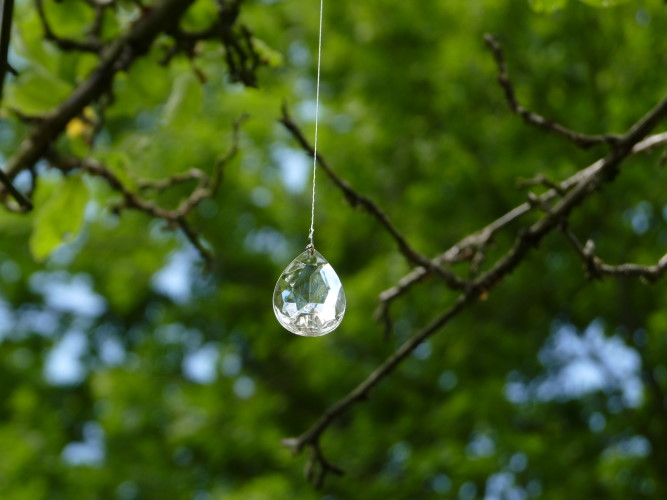 baum der trnen