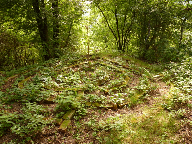 labyrinth